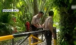 巴厘岛情侣事件最新爆料,最新爆料揭露惊人真相