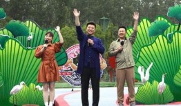 成都爆料家长打人视频最新,家校冲突背后的教育困境