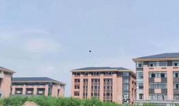 河南都市爆料最新耿女士,耿女士事件最新进展揭秘