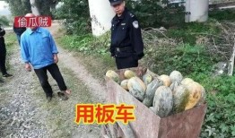 介休吃瓜最新事件爆料老头,揭秘老头背后惊人真相