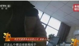 视频爆料食品怎么处罚最新,最新处罚措施全解析