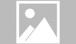 信用社最新爆料消息查询,揭秘金融领域重大动态与风险预警