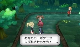 口袋妖怪za最新爆料,神秘新爆料揭示未来进化之路