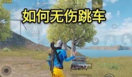 吃鸡新爆料最新消息视频,揭秘游戏最新动态与亮点